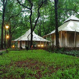 Tents